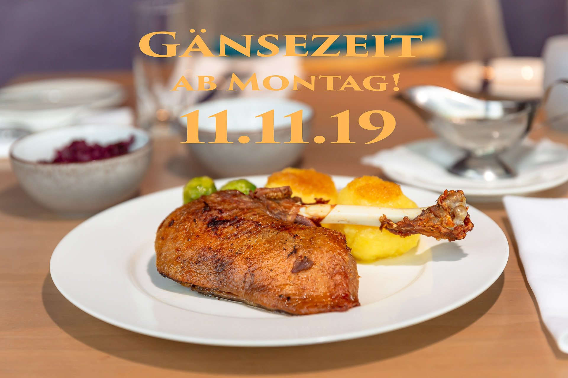 Read more about the article Gänsezeit im MainNizza